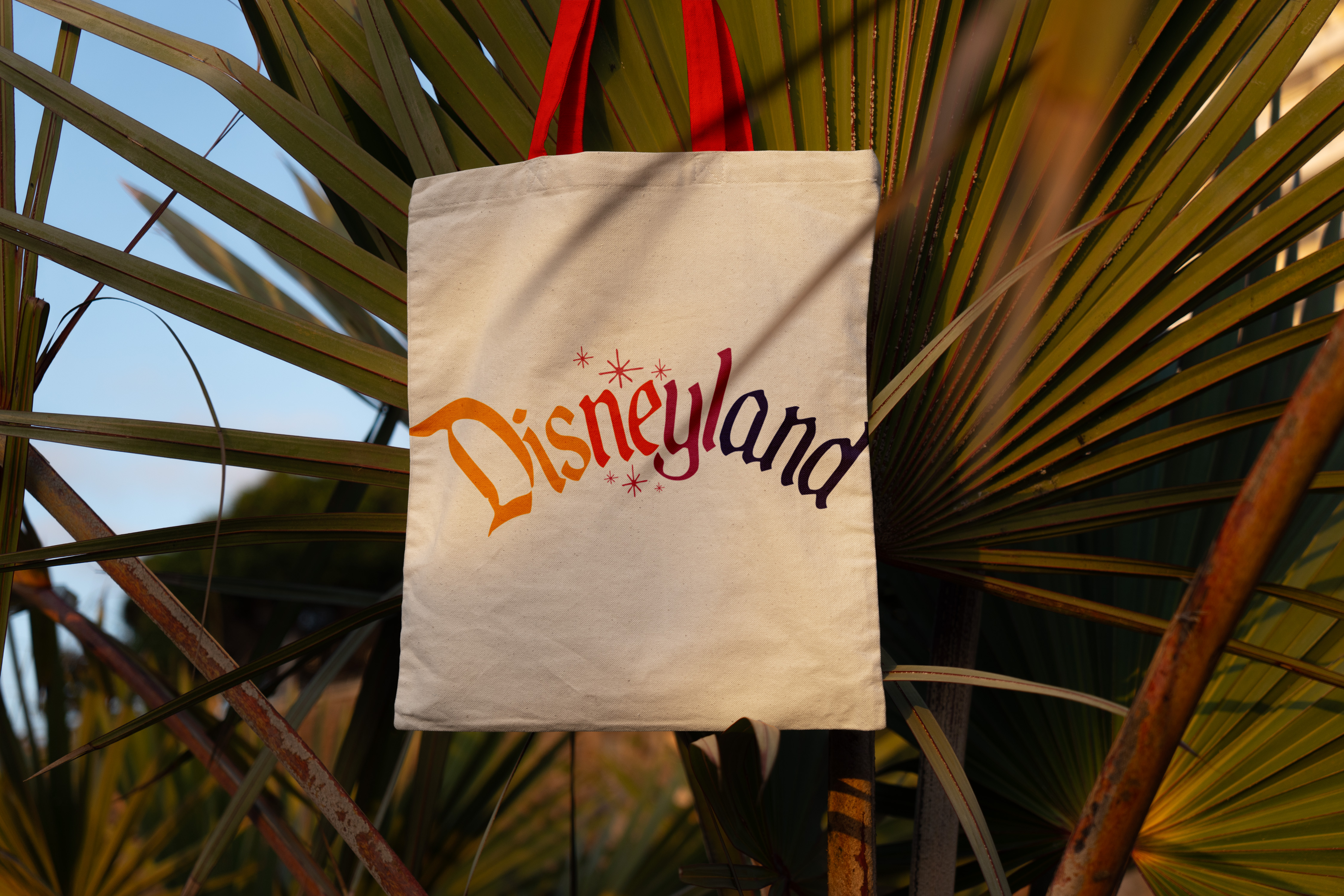 Disneyland Record Label Refresh thumbnail